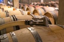 Côte de Nuits half-day wine tour with tastings from Dijon