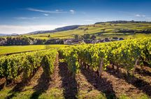 Côte de Beaune half-day wine tour with tastings from Dijon