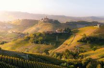 Barolo and La Morra day trip with wine cathedrals and tasting