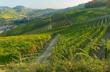 Barolo and La Morra day trip with wine cathedrals and tasting