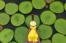 Giant water lily pond photo and drone experience with Old Town tour