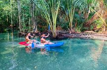 Eco-friendly kayaking journey to Khlong Nam Sai Lagoon