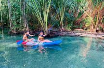 Eco-friendly kayaking journey to Khlong Nam Sai Lagoon