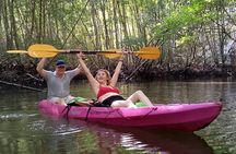 Kayaking through the Mangrove forest in Ao Thalane