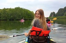 Kayaking through the Mangrove forest in Ao Thalane