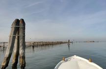 Pellestrina and the Venetian Lagoon Boat Tour from Chioggia