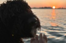 Historical guided boat tour through the Guadiana River