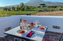 Organic volcanic wine tasting with lunch on Mt. Vesuvius