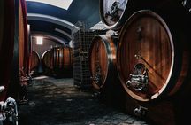 Organic volcanic wine tasting with lunch on Mt. Vesuvius
