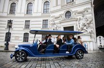 Private oldtimer electric classic car tour in Vienna
