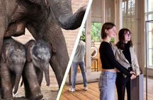 ARTIS Amsterdam Royal Zoo and ARTIS-Groote Museum Entrance Ticket