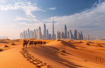 Desert safari with BBQ dinner and dance show in Dubai