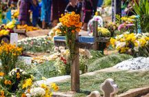Day of the Dead guided tour in Mexico City