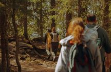 Private best view hike in Oslofjord