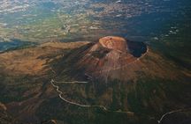 Access to Vesuvius National Park with minibus transfer