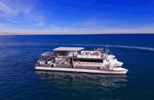 Malvarrosa and Patacona beach catamaran tour with drink