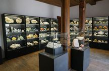 Dryanovo heritage and prehistoric Europe from Veliko Tarnovo