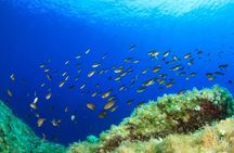 SSI 1 day scuba diver course in Mallorca