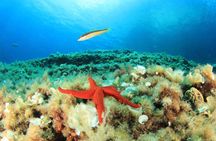 SSI 1 day scuba diver course in Mallorca