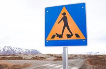 Black and blue snorkeling tour in Silfra