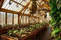 Warner Bros Studio, Harry Potter tickets from Paddington Station