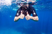 Mallorca dip and dive snorkelling and diving experience