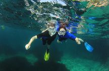 Individual snorkeling excursion by speedboat in Mallorca