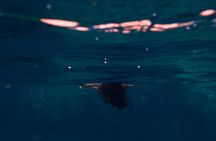 Sunset boat tour along the Mediterranean coast