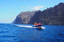 Small-group boat tour along the Cliffs of Los Gigantes to Punta Teno
