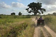Three-hour quad biking adventure from Saly