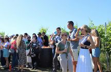 Private Stuttgart wine walk with games and regional tastings