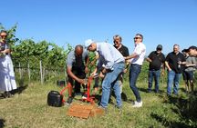 Private Stuttgart wine walk with games and regional tastings