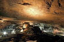 Al Hoota Cave entrance ticket and guided tour