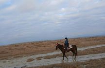 Guided horseback ride in Durrës countryside and beaches