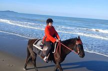 Guided horseback ride in Durrës countryside and beaches
