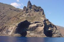 Whale-watching excursion in La Gomera with vintage boat tour