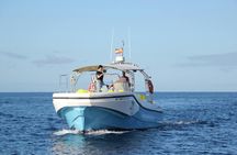 Whale-watching excursion in La Gomera with vintage boat tour