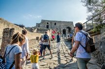 Pompeii ruins and Mt. Vesuvius volcano day trip from Naples