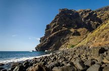 Small-group boat tour along the Cliffs of Los Gigantes to Punta Teno