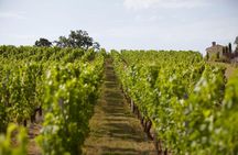 Vineyard experience and guided tour through Provence from Nice