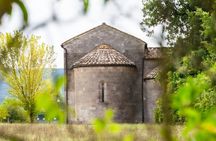 Wine Safari Poggio ai Laghi Vineyard On a Vintage Off-Road