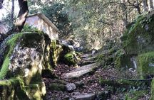 Hike on the trail of springs with olive museum visit in Lefkada