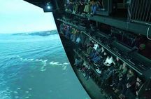 Niagara Falls Canada tour with Skylon Tower and boat cruise