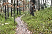 Lochner hike in Kristiansand