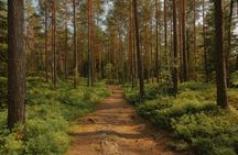 Holmenkollen private walking tour