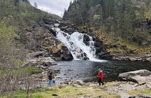 Hardangerfjord and waterfalls guided tour with lunch