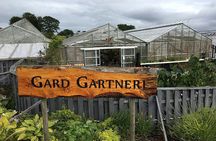 Hardangerfjord and waterfalls guided tour with lunch