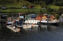 Hardangerfjord and waterfalls bus tour with apple pie from Bergen