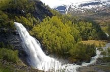 Hardangerfjord and waterfalls bus tour with apple pie from Bergen