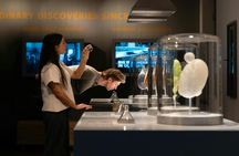 Home of Carlsberg entrance ticket and guided tour of the beer cellars